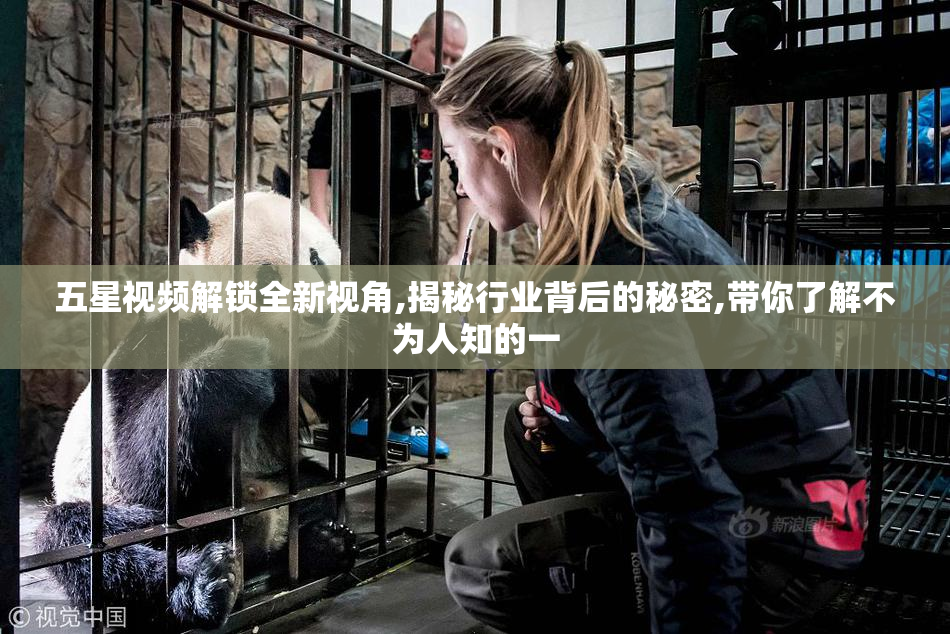 五星视频解锁全新视角,揭秘行业背后的秘密,带你了解不为人知的一