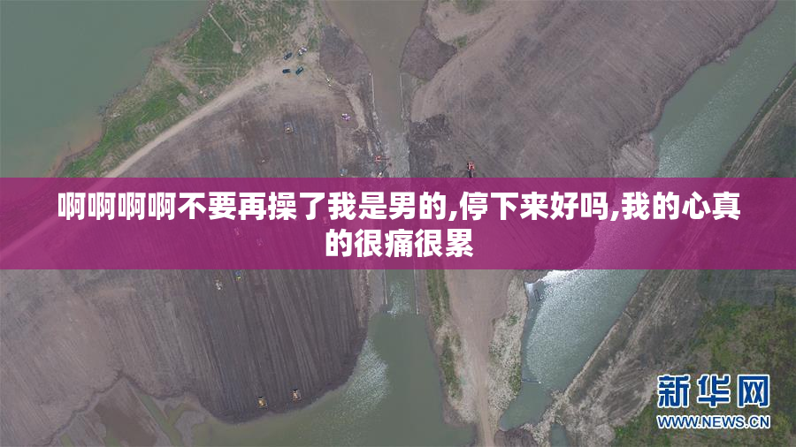 啊啊啊啊不要再操了我是男的,停下来好吗,我的心真的很痛很累