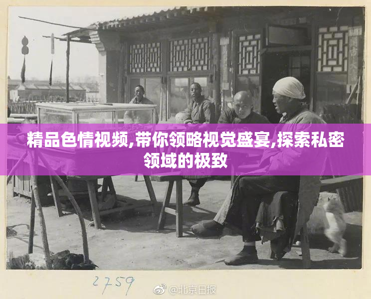 精品色情视频,带你领略视觉盛宴,探索私密领域的极致