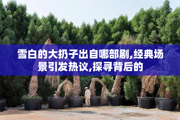 雪白的大扔子出自哪部剧,经典场景引发热议,探寻背后的