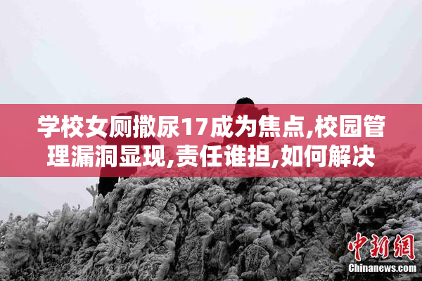 学校女厕撒尿17成为焦点,校园管理漏洞显现,责任谁担,如何解决