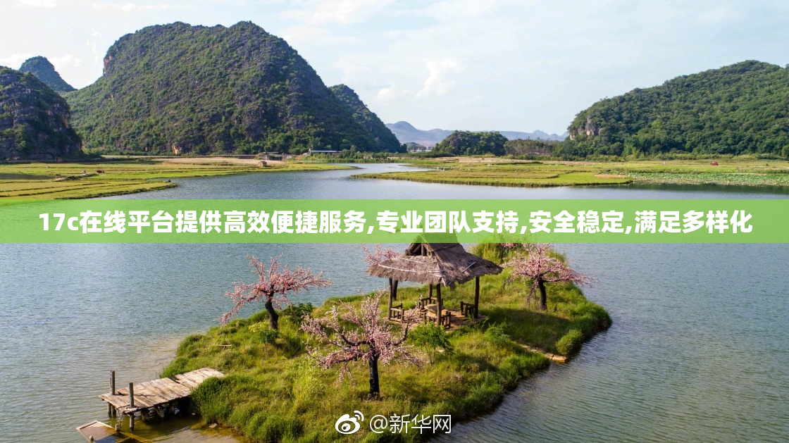 17c在线平台提供高效便捷服务,专业团队支持,安全稳定,满足多样化
