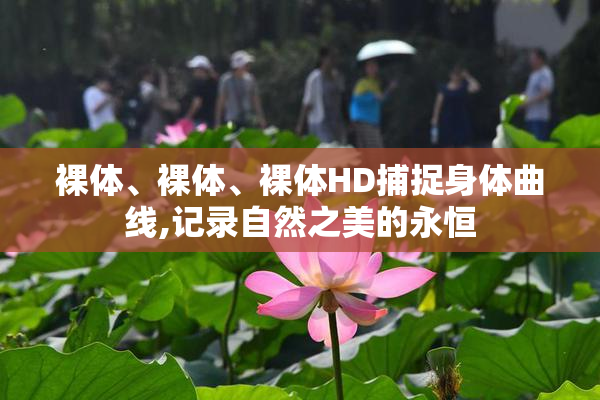 裸体、裸体、裸体HD捕捉身体曲线,记录自然之美的永恒