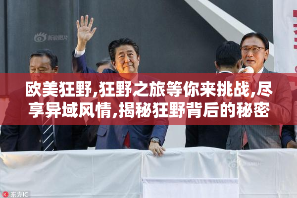欧美狂野,狂野之旅等你来挑战,尽享异域风情,揭秘狂野背后的秘密