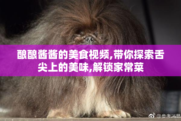 酿酿酱酱的美食视频,带你探索舌尖上的美味,解锁家常菜