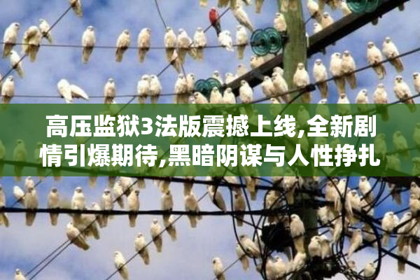 高压监狱3法版震撼上线,全新剧情引爆期待,黑暗阴谋与人性挣扎交织