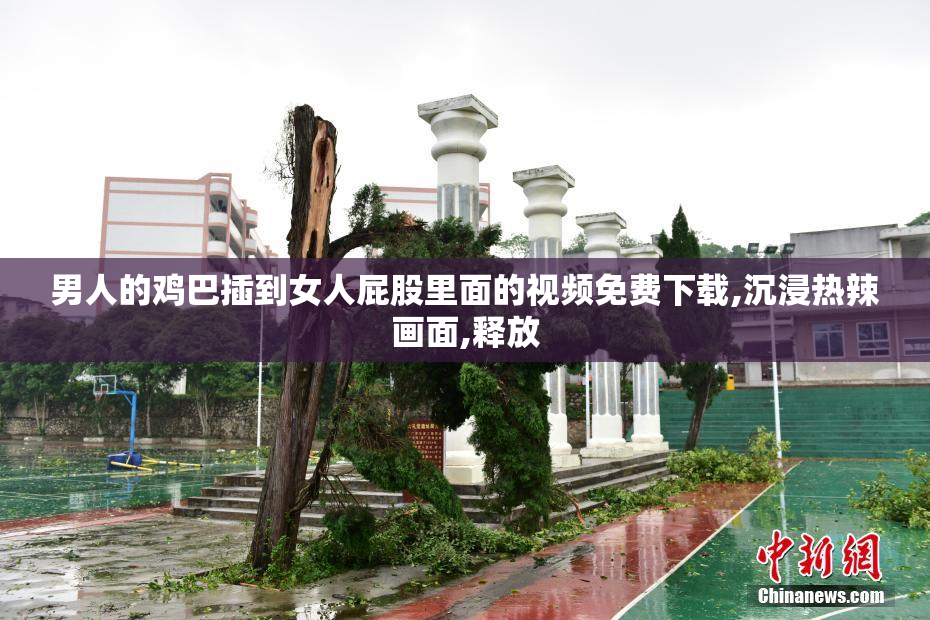 男人的鸡巴插到女人屁股里面的视频免费下载,沉浸热辣画面,释放