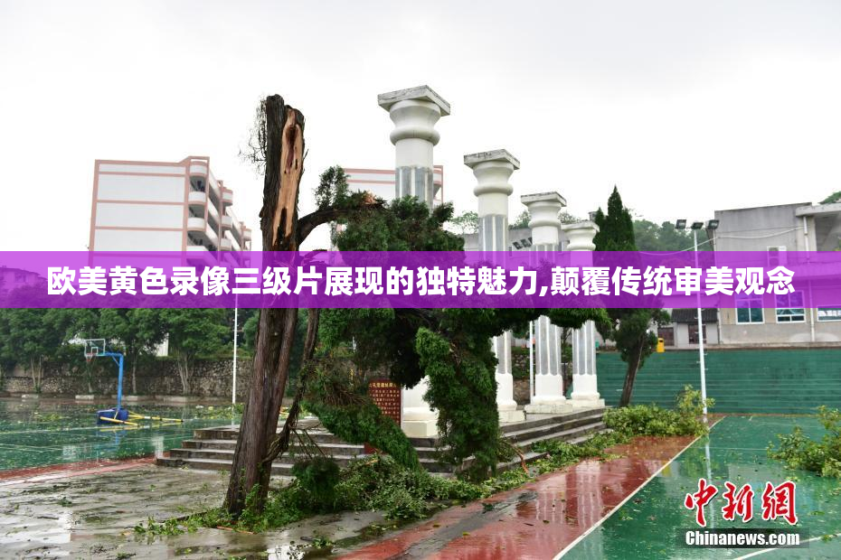 欧美黄色录像三级片展现的独特魅力,颠覆传统审美观念