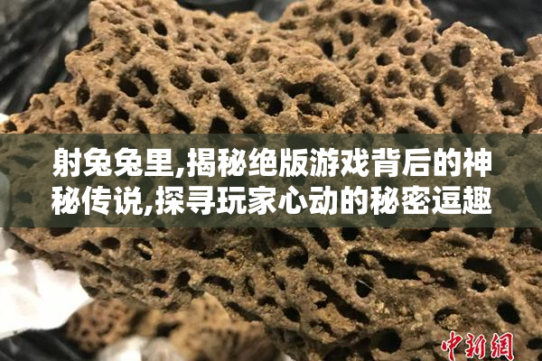 射兔兔里,揭秘绝版游戏背后的神秘传说,探寻玩家心动的秘密逗趣