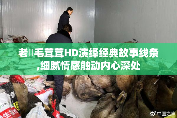 老屄毛茸茸HD演绎经典故事线条,细腻情感触动内心深处