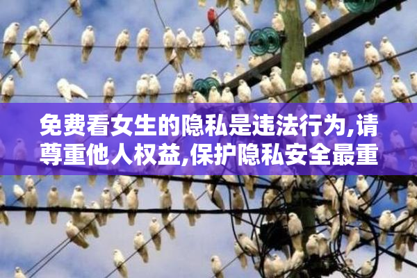 免费看女生的隐私是违法行为,请尊重他人权益,保护隐私安全最重要