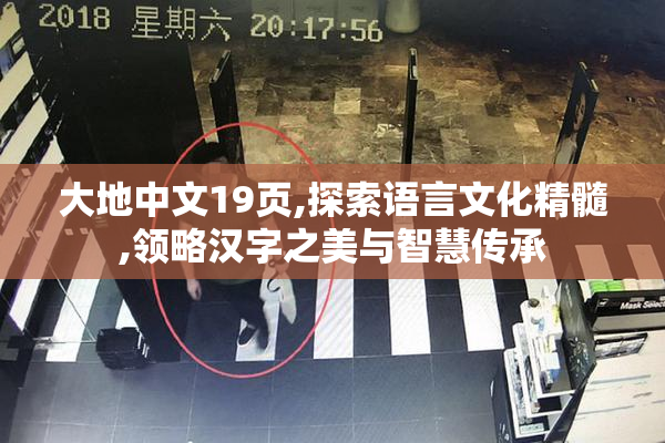 大地中文19页,探索语言文化精髓,领略汉字之美与智慧传承