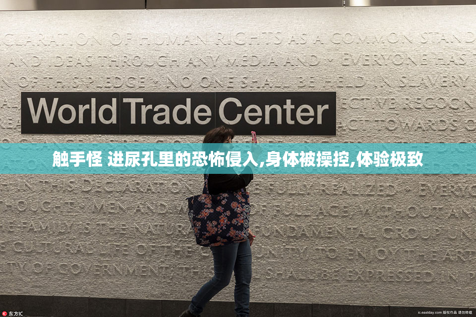 触手怪 进尿孔里的恐怖侵入,身体被操控,体验极致