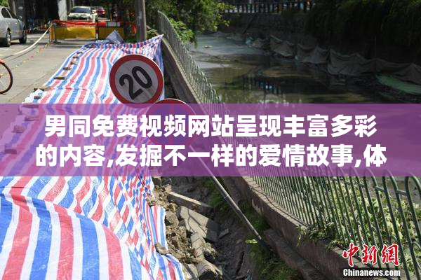 男同免费视频网站呈现丰富多彩的内容,发掘不一样的爱情故事,体验