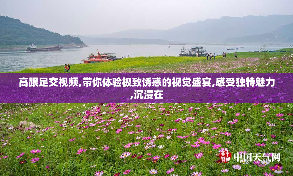 高跟足交视频,带你体验极致诱惑的视觉盛宴,感受独特魅力,沉浸在