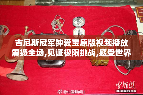 吉尼斯冠军钟爱宝原版视频播放震撼全场,见证极限挑战,感受世界