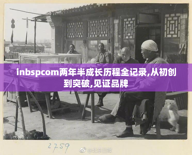 inbspcom两年半成长历程全记录,从初创到突破,见证品牌