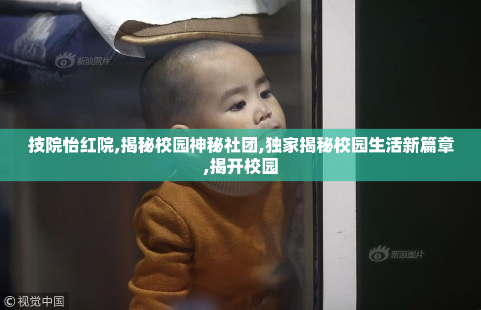 技院怡红院,揭秘校园神秘社团,独家揭秘校园生活新篇章,揭开校园
