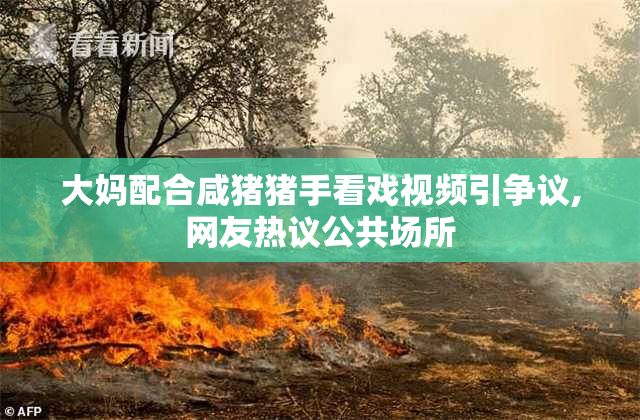 大妈配合咸猪猪手看戏视频引争议,网友热议公共场所