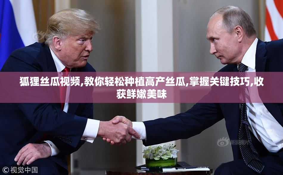 狐狸丝瓜视频,教你轻松种植高产丝瓜,掌握关键技巧,收获鲜嫩美味