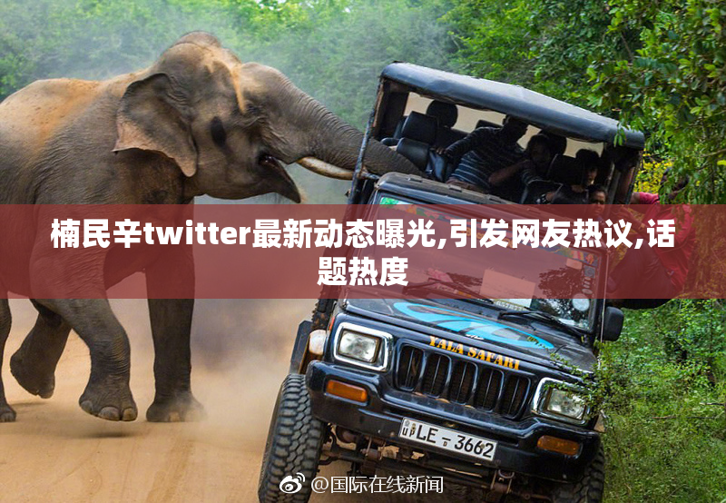 楠民辛twitter最新动态曝光,引发网友热议,话题热度