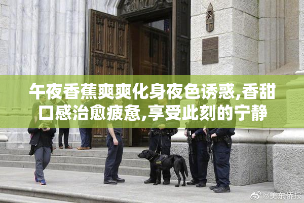 午夜香蕉爽爽化身夜色诱惑,香甜口感治愈疲惫,享受此刻的宁静