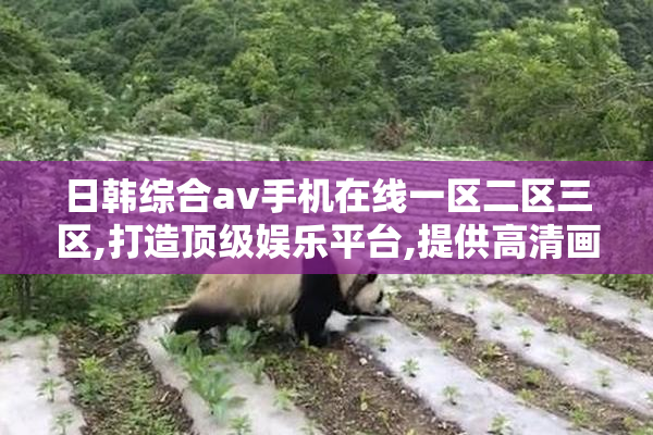 日韩综合av手机在线一区二区三区,打造顶级娱乐平台,提供高清画质