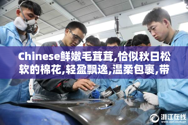 Chinese鲜嫩毛茸茸,恰似秋日松软的棉花,轻盈飘逸,温柔包裹,带来