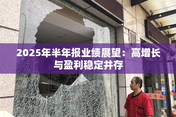 2025年半年报业绩展望：高增长与盈利稳定并存