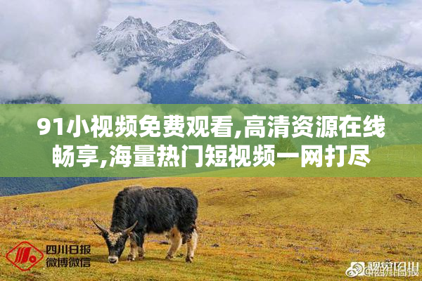 91小视频免费观看,高清资源在线畅享,海量热门短视频一网打尽