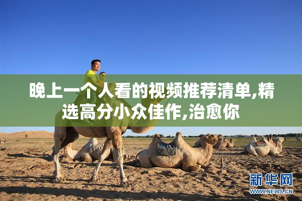 晚上一个人看的视频推荐清单,精选高分小众佳作,治愈你