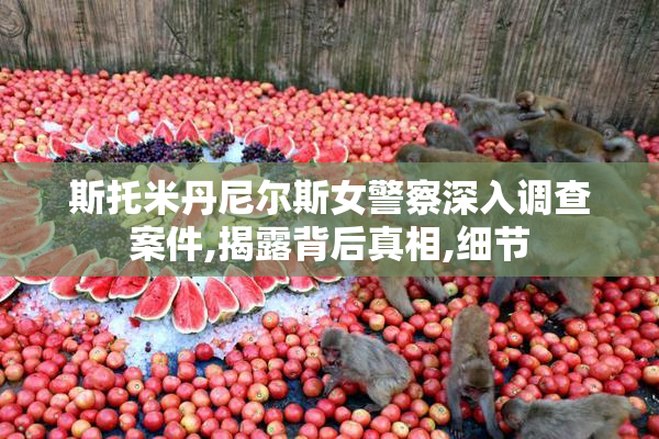 斯托米丹尼尔斯女警察深入调查案件,揭露背后真相,细节