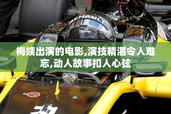 梅姨出演的电影,演技精湛令人难忘,动人故事扣人心弦