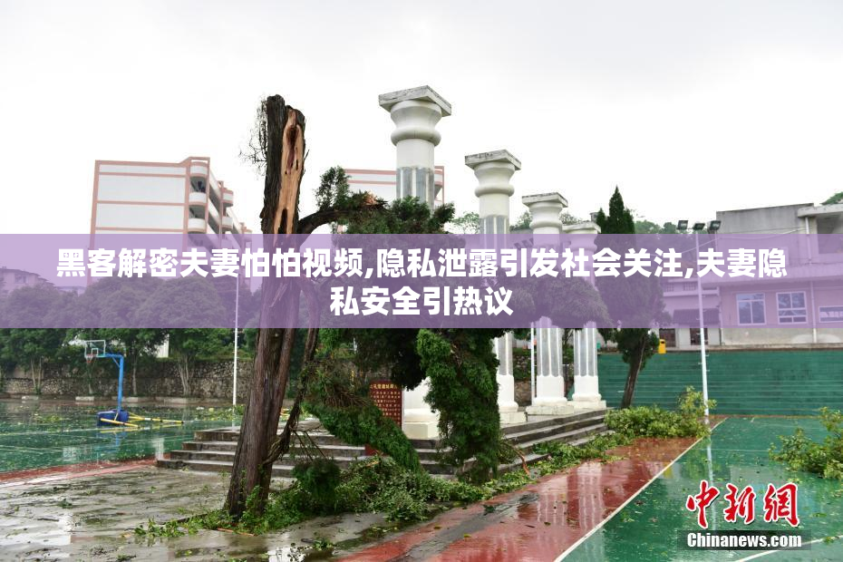 黑客解密夫妻怕怕视频,隐私泄露引发社会关注,夫妻隐私安全引热议