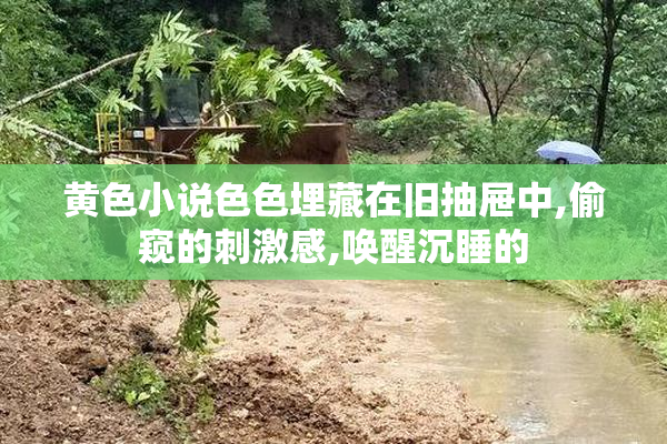 黄色小说色色埋藏在旧抽屉中,偷窥的刺激感,唤醒沉睡的
