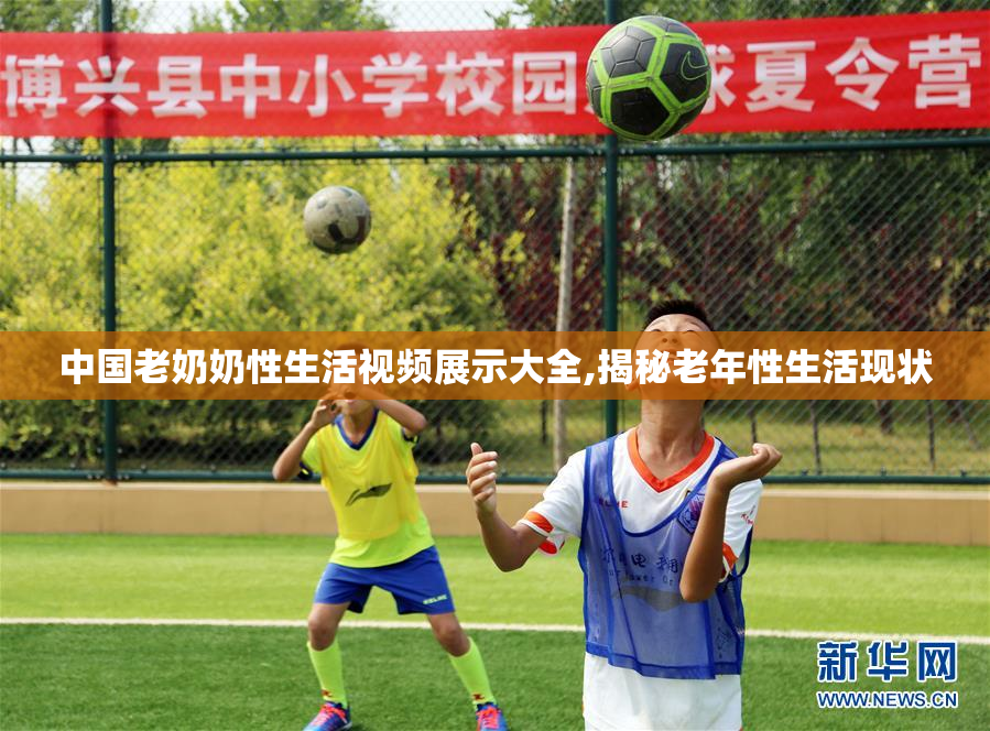 中国老奶奶性生活视频展示大全,揭秘老年性生活现状