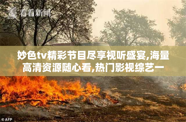 妙色tv精彩节目尽享视听盛宴,海量高清资源随心看,热门影视综艺一