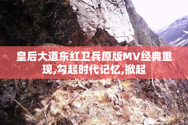 皇后大道东红卫兵原版MV经典重现,勾起时代记忆,掀起