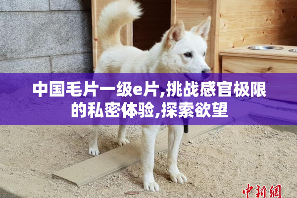 中国毛片一级e片,挑战感官极限的私密体验,探索欲望