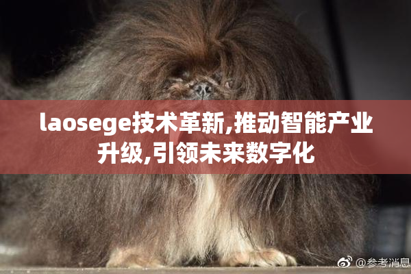 laosege技术革新,推动智能产业升级,引领未来数字化