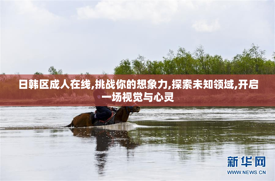 日韩区成人在线,挑战你的想象力,探索未知领域,开启一场视觉与心灵