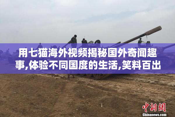 用七猫海外视频揭秘国外奇闻趣事,体验不同国度的生活,笑料百出不