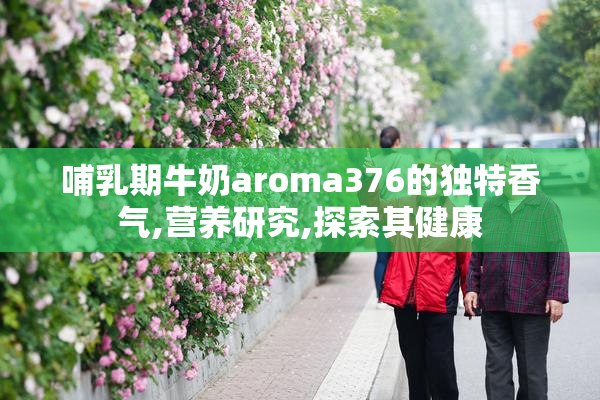 哺乳期牛奶aroma376的独特香气,营养研究,探索其健康