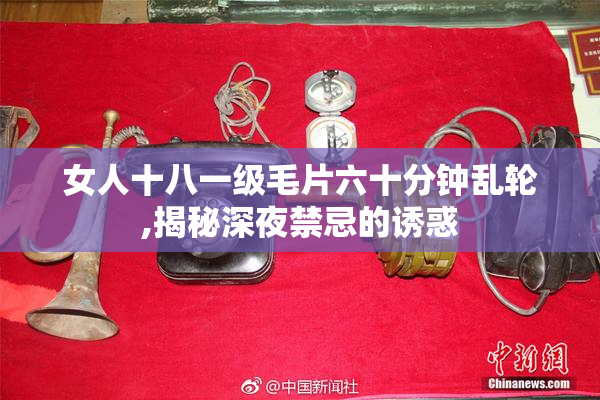 女人十八一级毛片六十分钟乱轮,揭秘深夜禁忌的诱惑