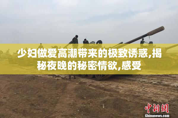 少妇做爱高潮带来的极致诱惑,揭秘夜晚的秘密情欲,感受