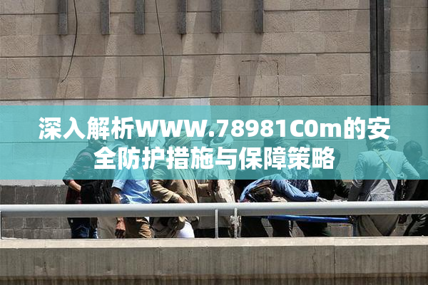深入解析WWW.78981C0m的安全防护措施与保障策略