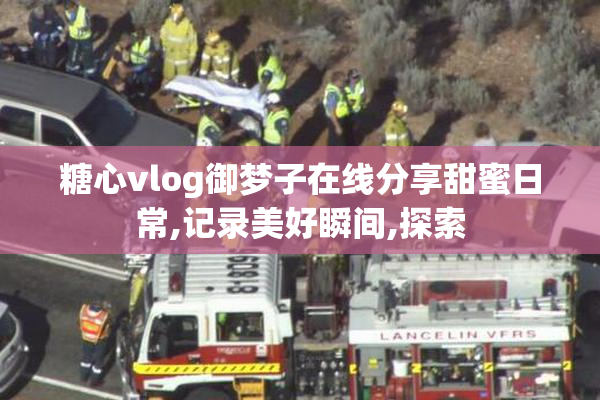 糖心vlog御梦子在线分享甜蜜日常,记录美好瞬间,探索