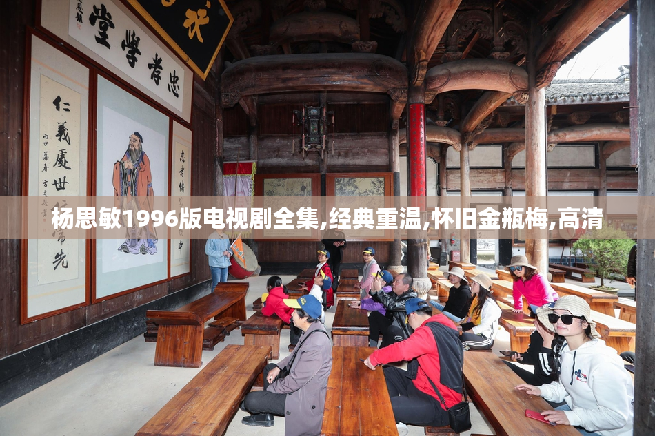 杨思敏1996版电视剧全集,经典重温,怀旧金瓶梅,高清