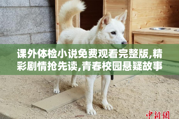 课外体检小说免费观看完整版,精彩剧情抢先读,青春校园悬疑故事