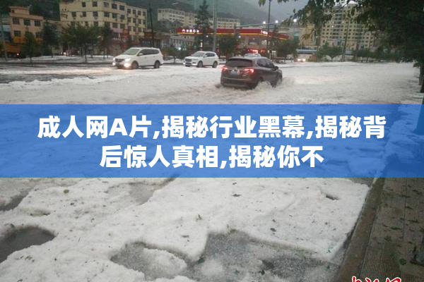 成人网A片,揭秘行业黑幕,揭秘背后惊人真相,揭秘你不